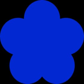 The Next Race logo