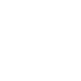 The Next Race logo